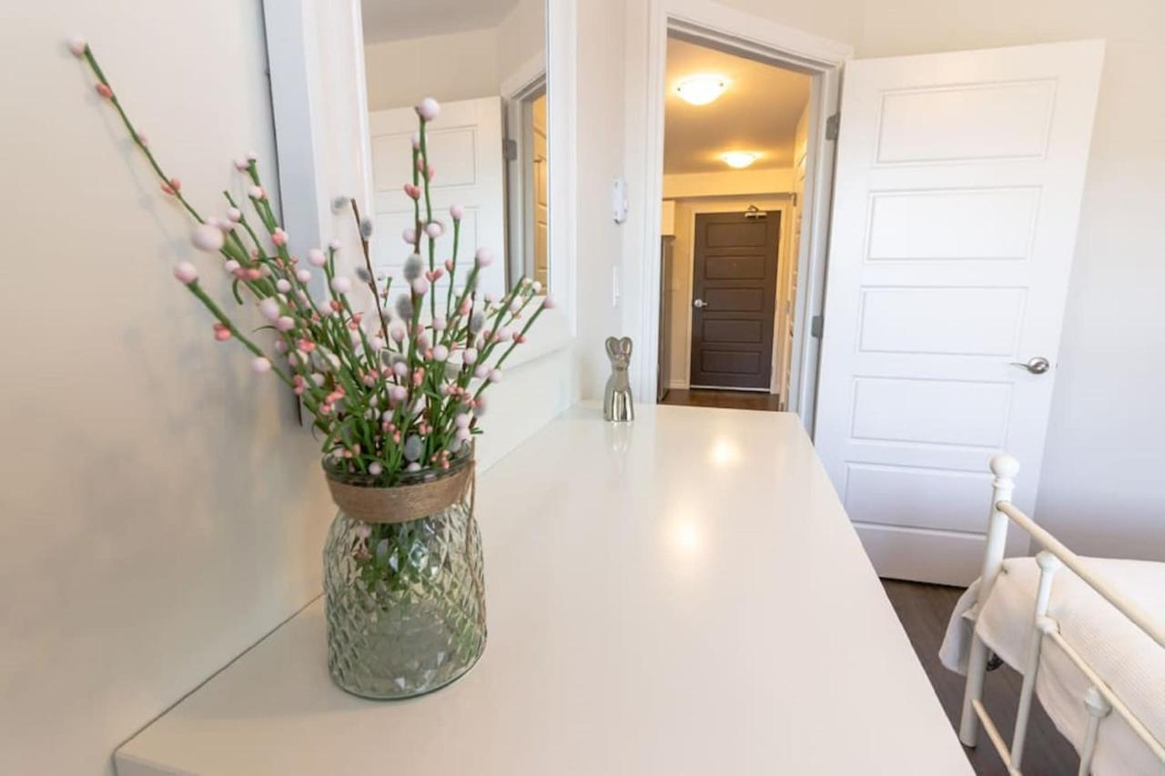 Newly Renovated Modern Condo Near Hospital, Unb Patio & Parking Coffee เซนต์จอห์น ภายนอก รูปภาพ